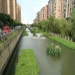 河道污水生態(tài)治理技術(shù)探討